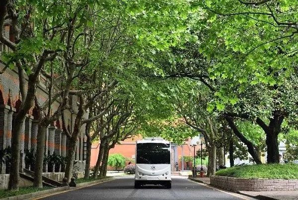 在梧桐树下迷路—一份带点私心的上海高校游指南