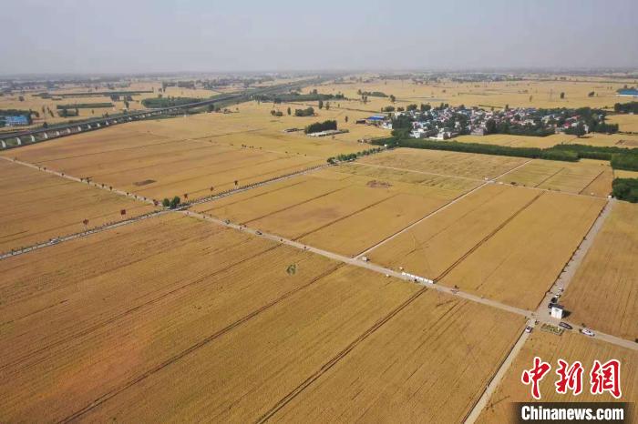 在中原大地，风把我吹到了中电新能源河南的风机底下