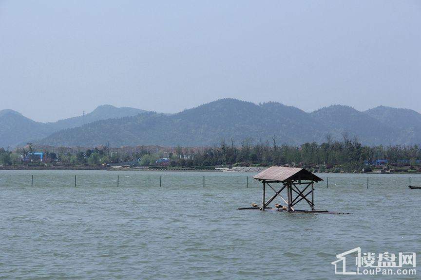 住进达美溪湖湾三个月，我才搞懂湖景房的真实含义