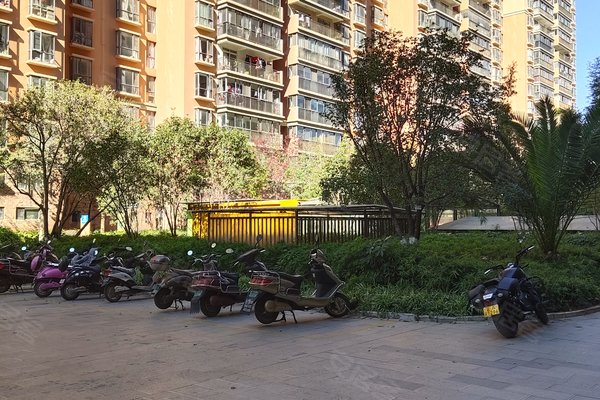 在昆明看房大半年，我为什么对星泽园又爱又恨